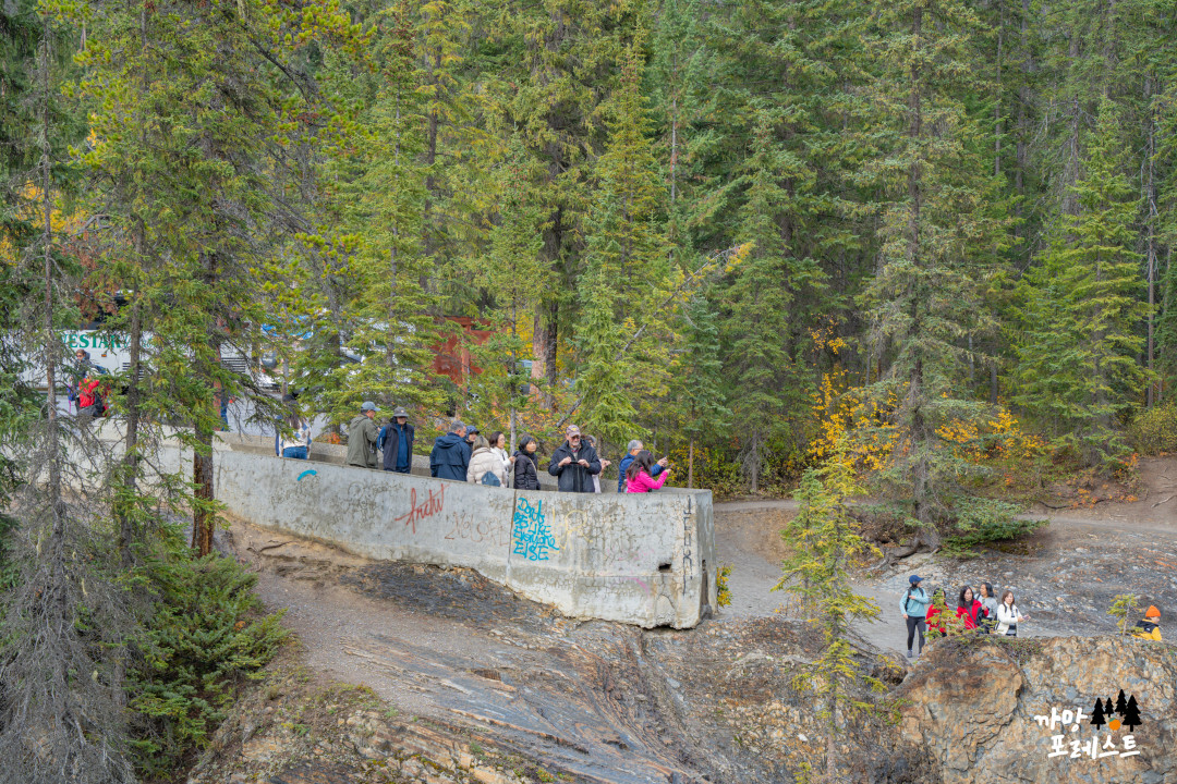 캐나다 밴프 네츄럴 브릿지