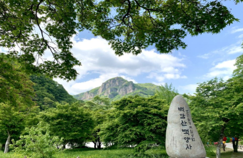 백양사 템플스테이 휴식형 체험형 프로그램, 예약 방법, 후기 총정리