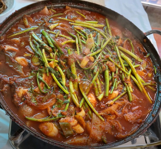 한국기행-고성-물곰-왔드래요-곰치-물곰탕