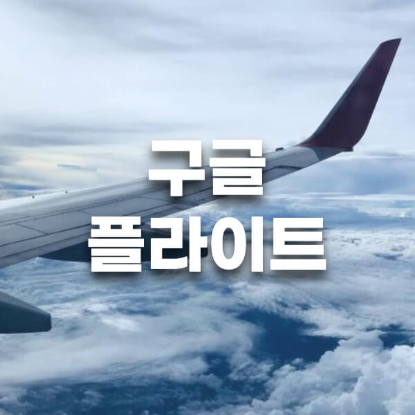 구글플라이트 썸네일
