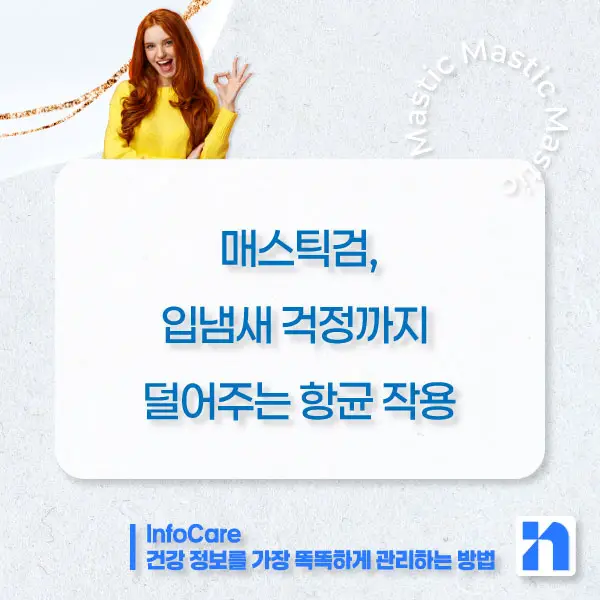 매스틱 매스틱검 효능 효과