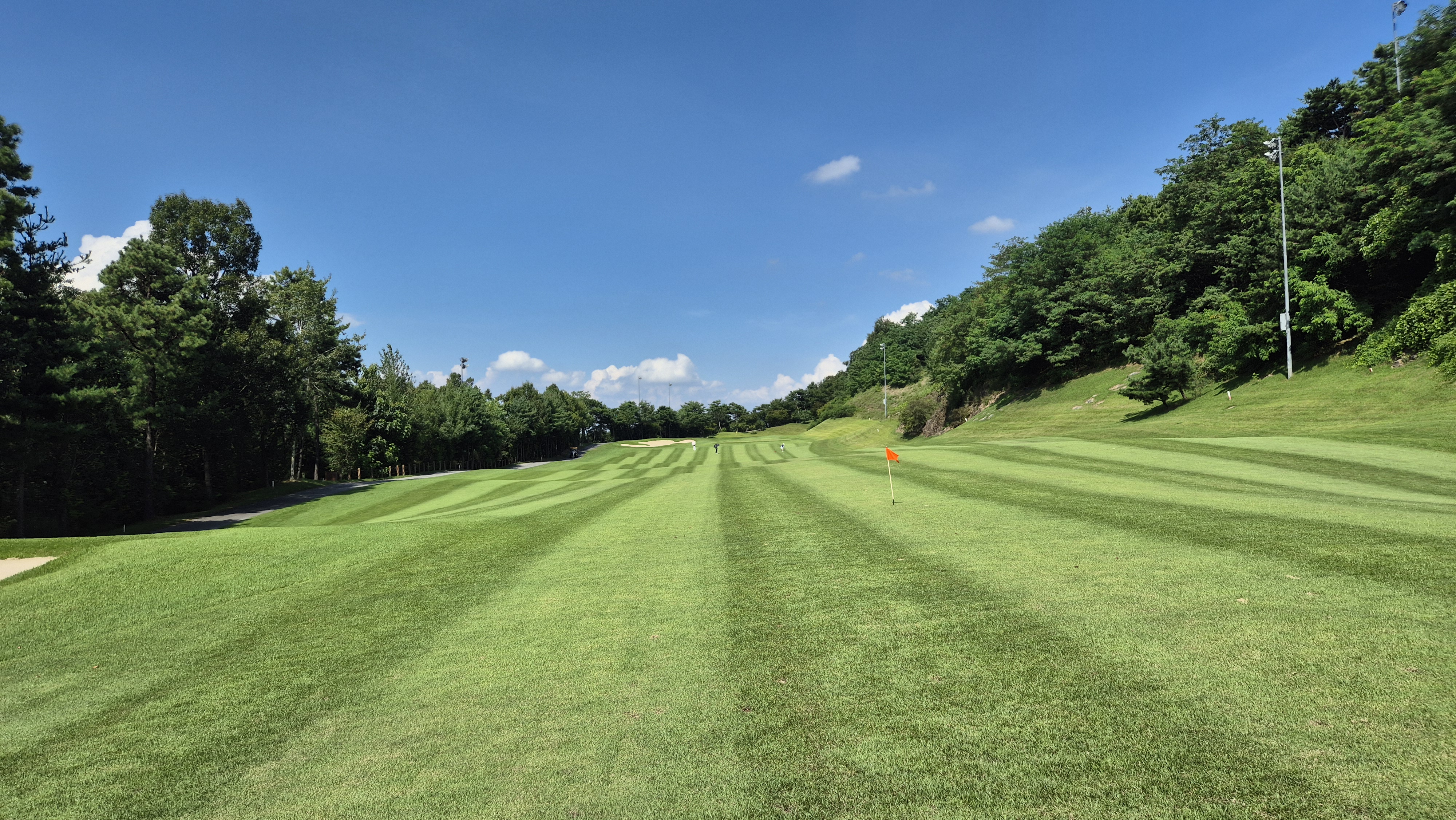 대영힐스cc 청-력 코스 사진 및 공략 정보