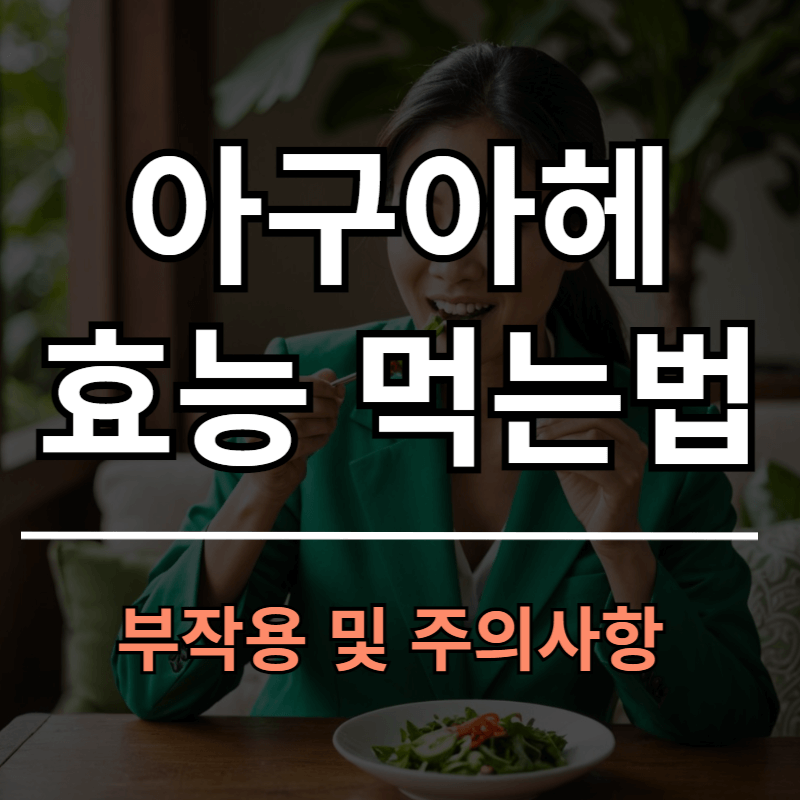 아구아헤 효능 12가지와 먹는법 부작용