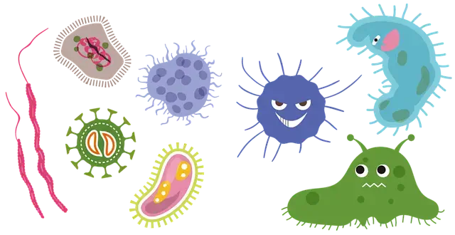 장마철 곰팡이 제거 예방