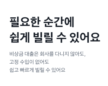 소액대출 300만원