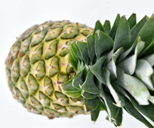 파인애플 효능