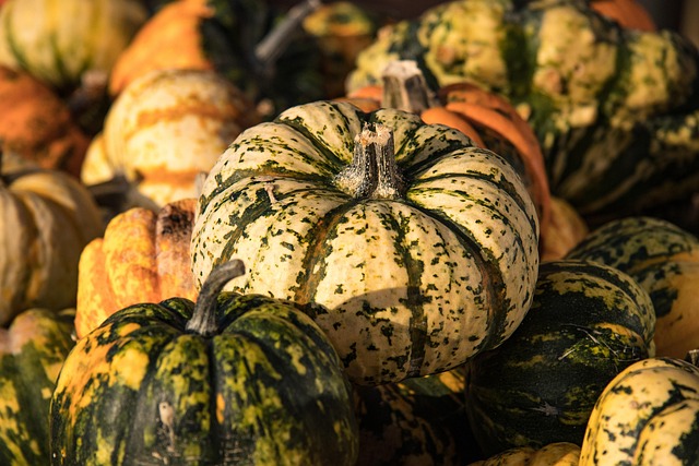 경기도 농어민 기회소득 신청방법 지원대상자 확인 사진