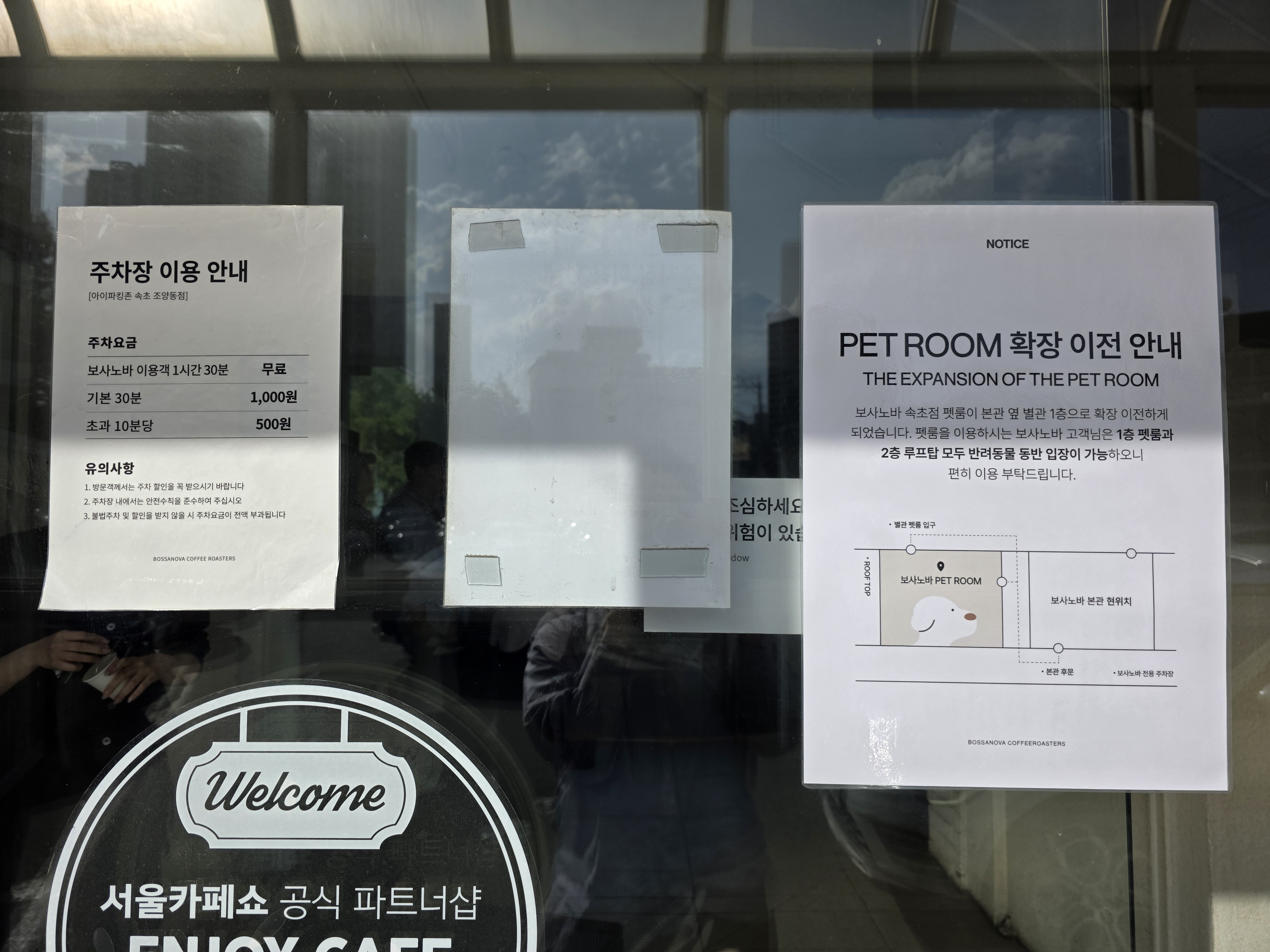 속초 애견동반 카페