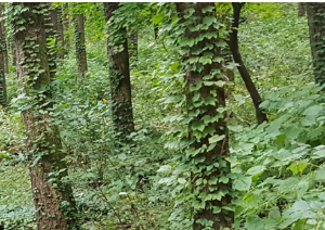 동해 가볼만한곳