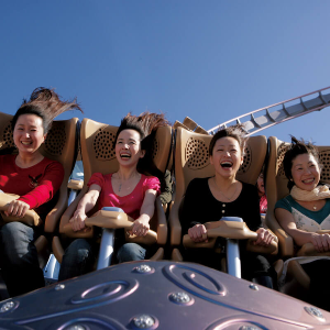 할리우드 드림 더 라이드