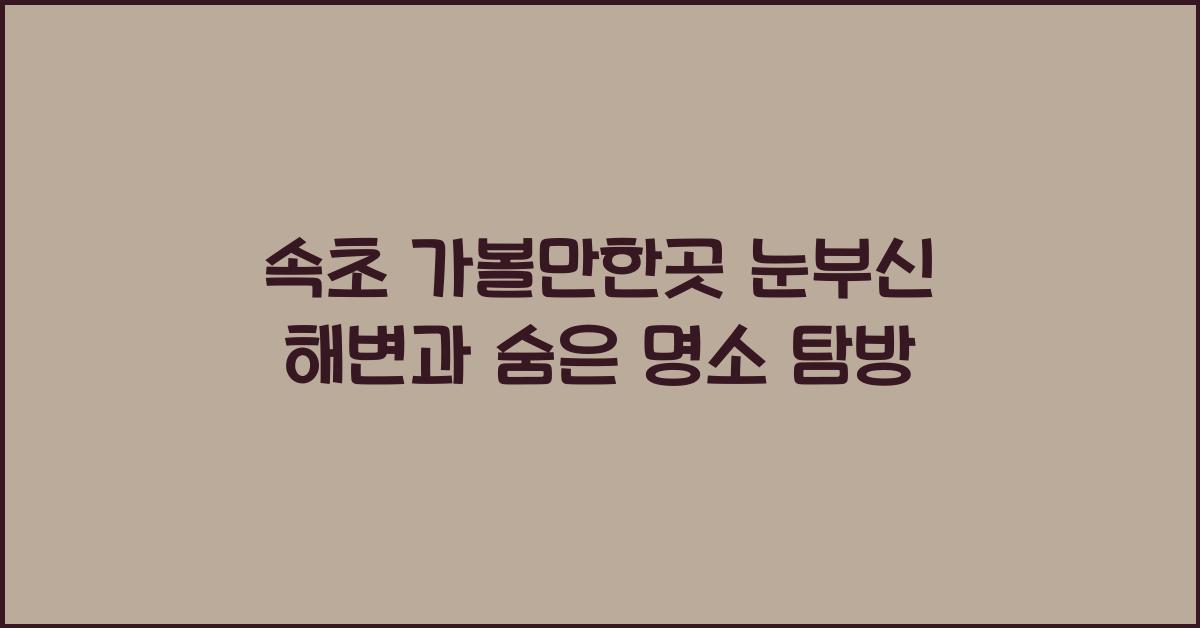 속초 가볼만한곳