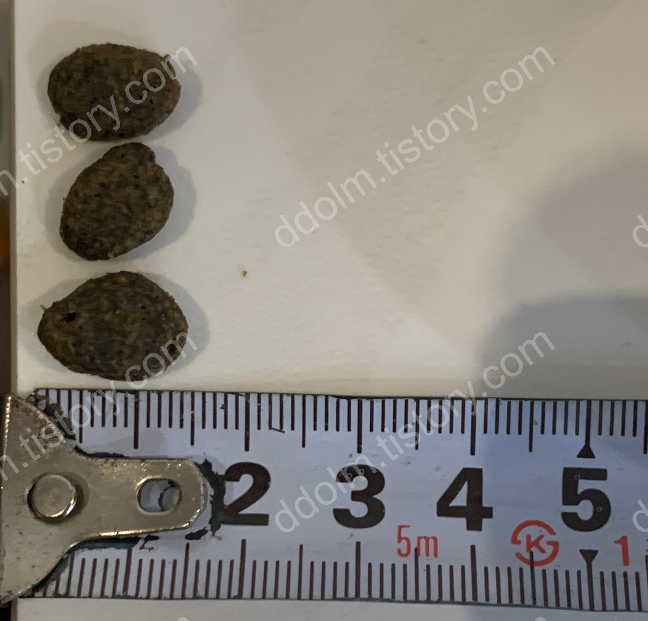 강아지 신부전 사료 비교