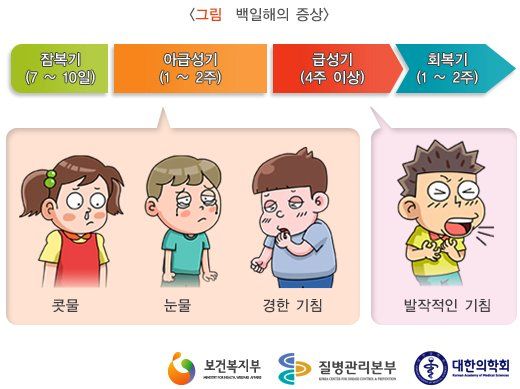 호흡기 질환: 백일해- 아기와 어른의 차이, 치료방법, 예방법, 예방접종.