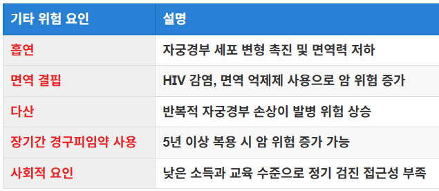 기타 위험 요인