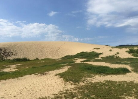 신두리 해안사구