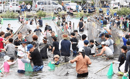 장흥 물축제