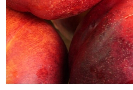 천도복숭아효능