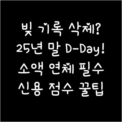 금융위 소액 연체 기록 삭제 조치 2..