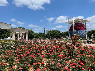산책 목적에 따라 좋은 공원의 기준도 달라짐.