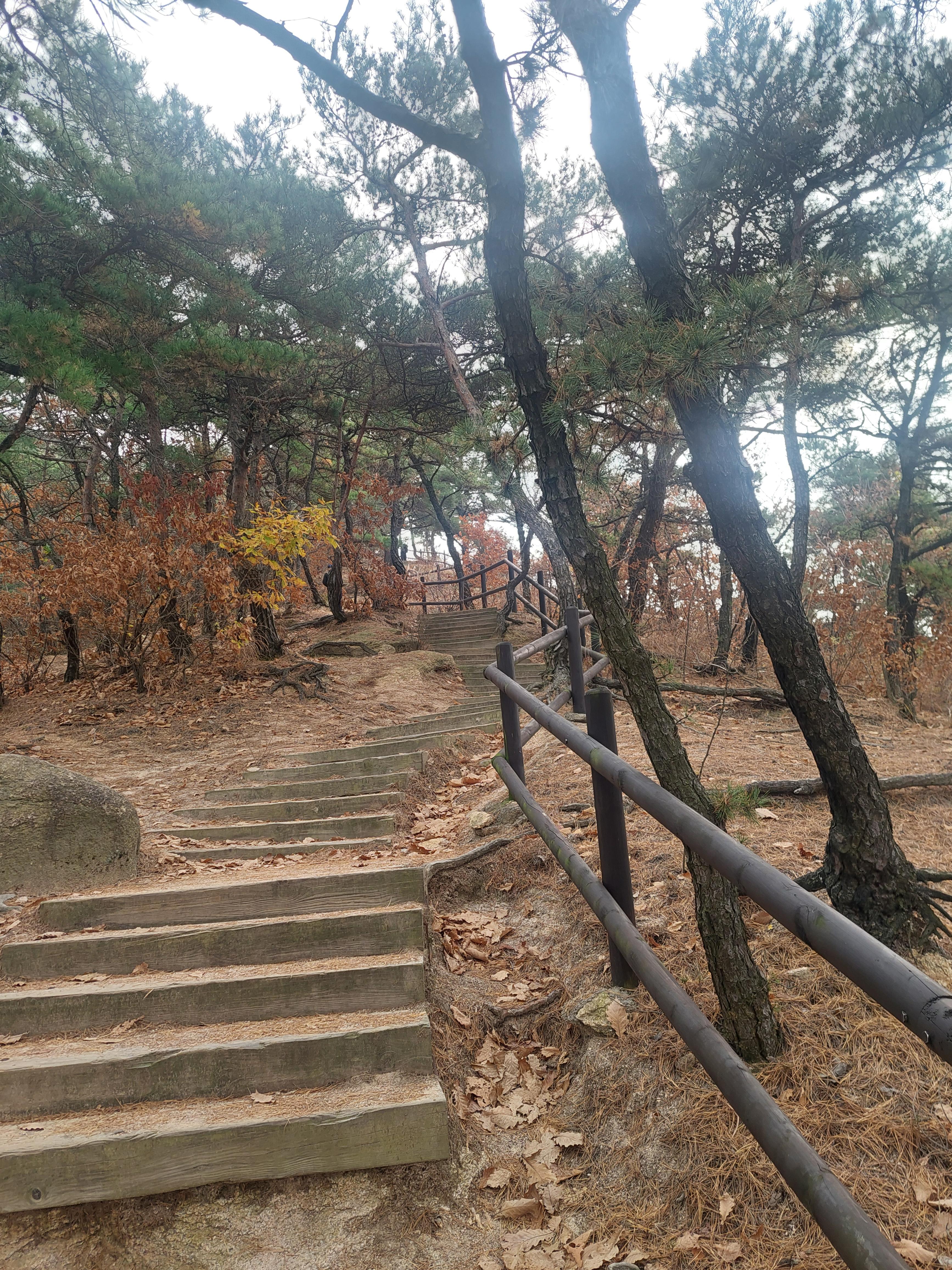 비봉