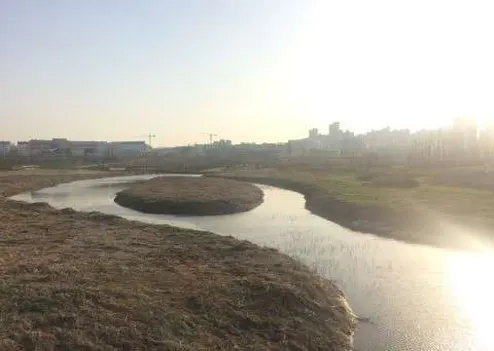 김포한강야생조류생태공원