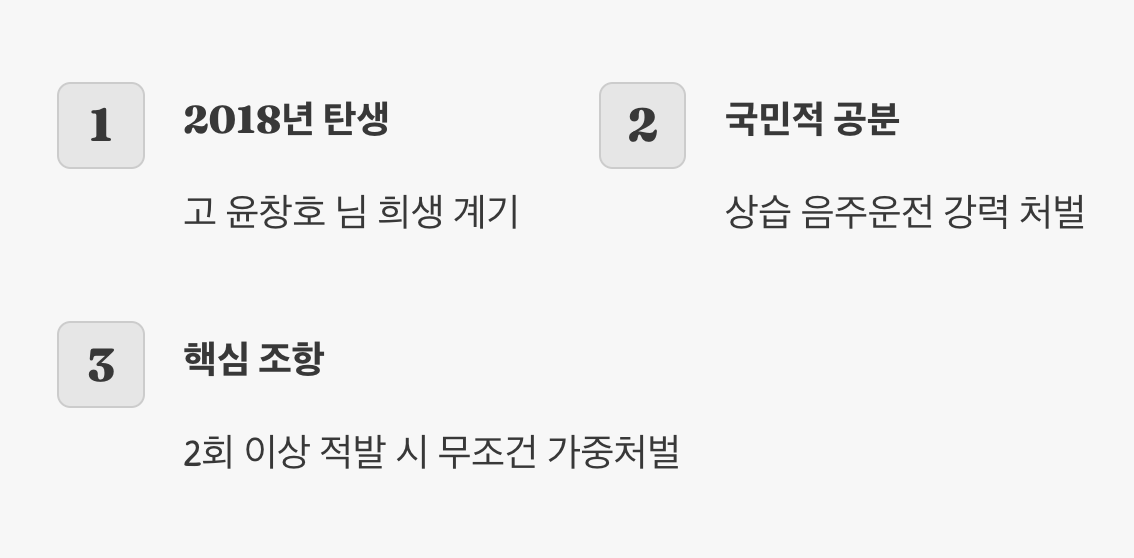 슬픔으로 만들어진 법, 윤창호법