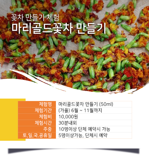마리골드 꽃차 만들기