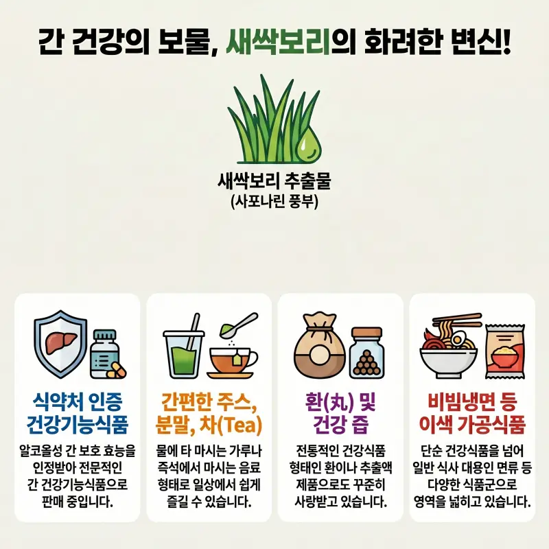 새싹보리 혜누리 활용 제품과 식품 확장 가능성