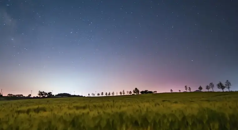 고창 청보리밭축제 주차장, 입장료, 프로그램