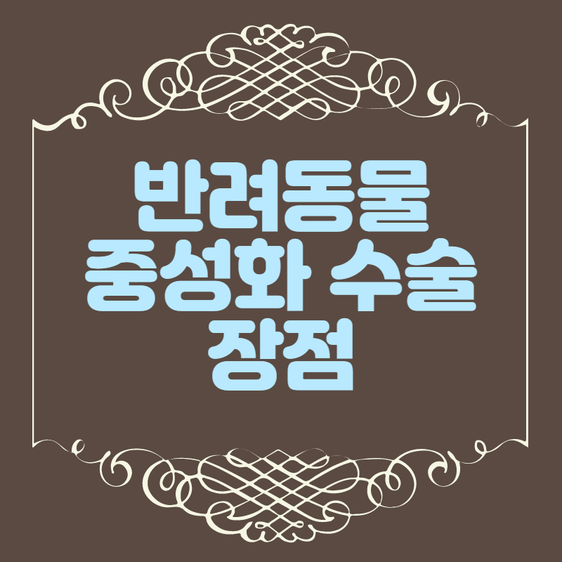 중성화수술