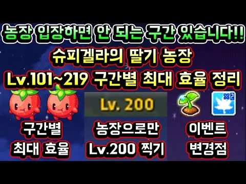 메이플 슈피겔라 황금 딸기농장 효율 극대화 실전 팁_3