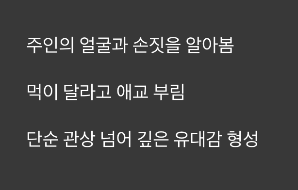 주인을 알아보는 교감, '워터독'의 탄생