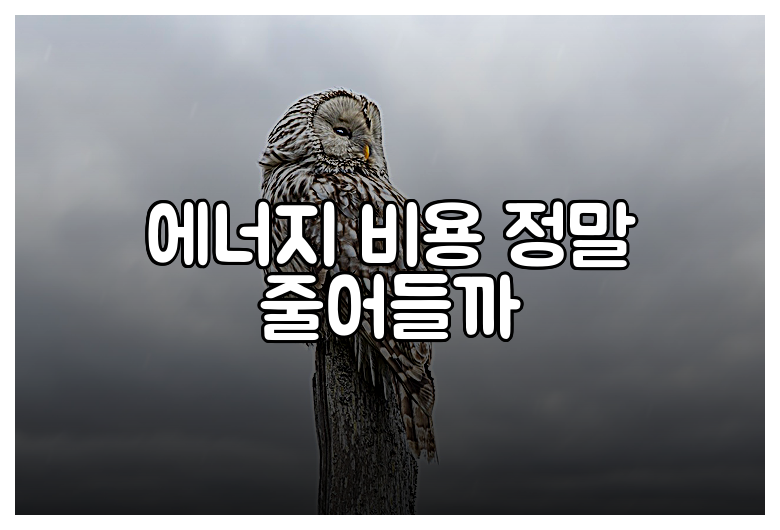 에너지 비용 정말 줄어들까