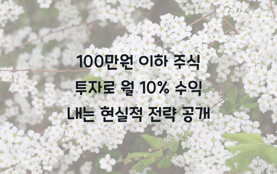 100만원 이하 주식 투자로 월 10% 수익 내는 현실적 전략!