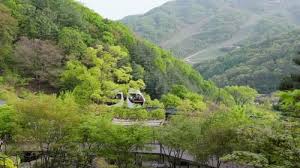 화담숲 모노레일 예약하러 가기