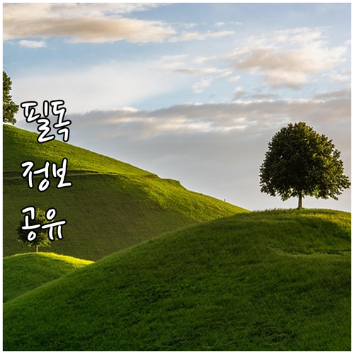 2025 차량용 보조기기 지원금 1천..