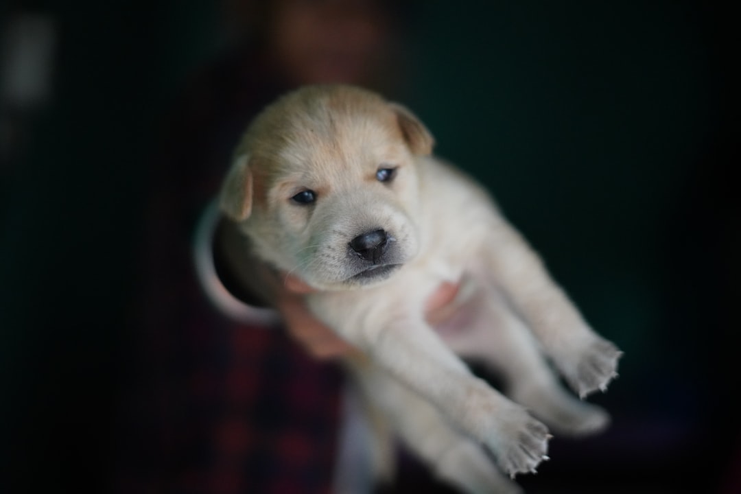 Breed