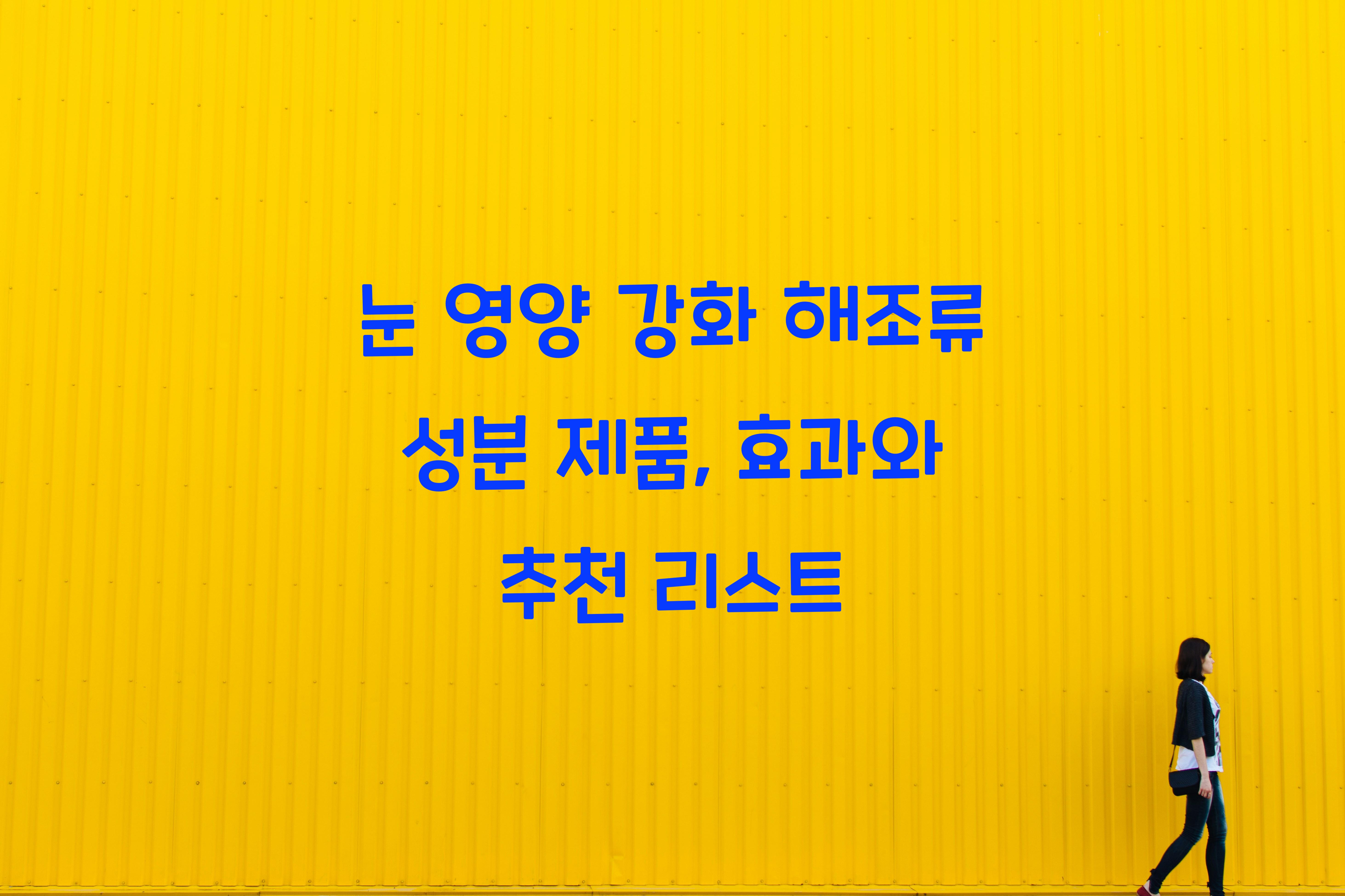 눈 영양 강화 해조류 성분 제품