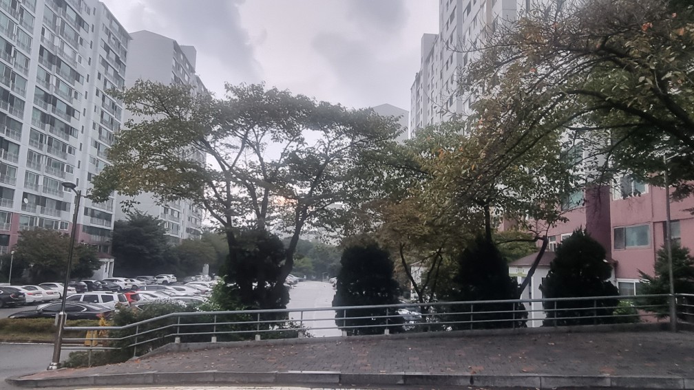 탑마을 대우 뒷동