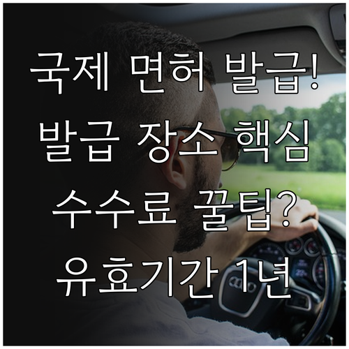 해외 운전 국제운전면허증 발급 장소 ..