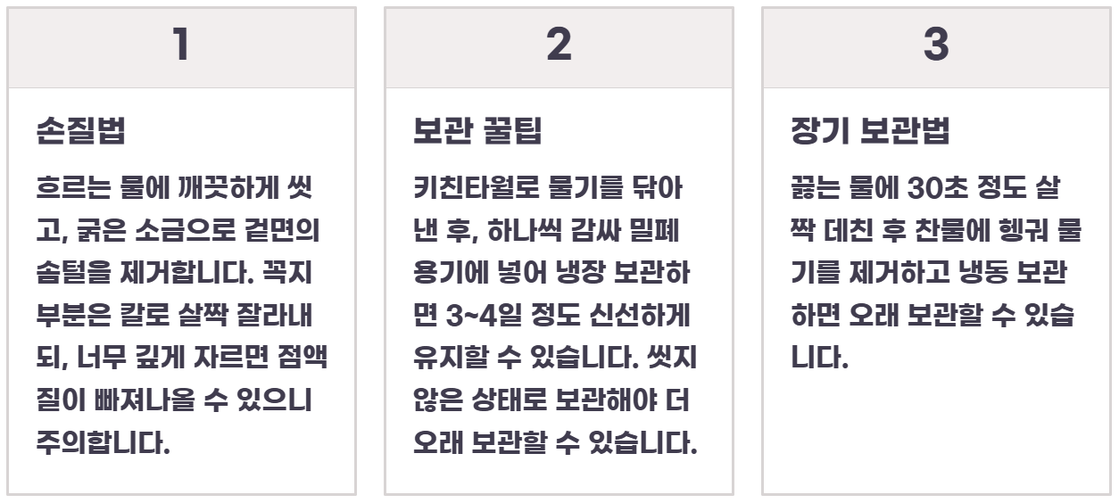 오크라 효능