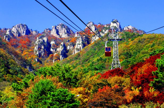 2025 대둔산 단풍 절정 & 등산 코스 총정리 ❘ 케이블카·주차·소요시간 완벽 안내
