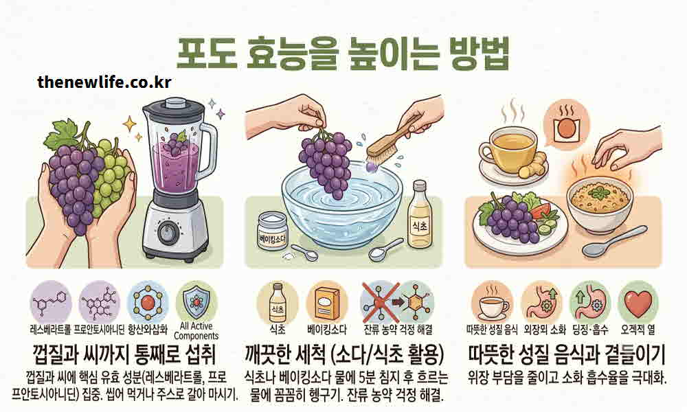포도 효능 높이는 방법