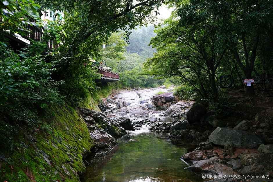곡성 가볼만한곳 베스트10
