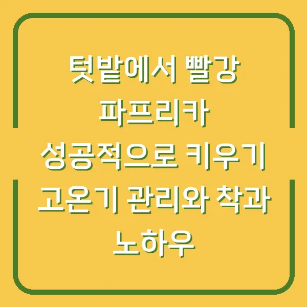 텃밭에서 빨강 파프리카 성공적으로 키우기 고온기 관리와 착과 노하우