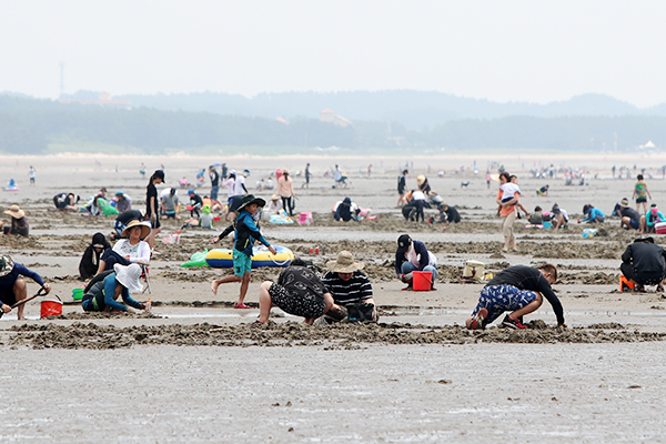 충청남도 태안 관련 사진