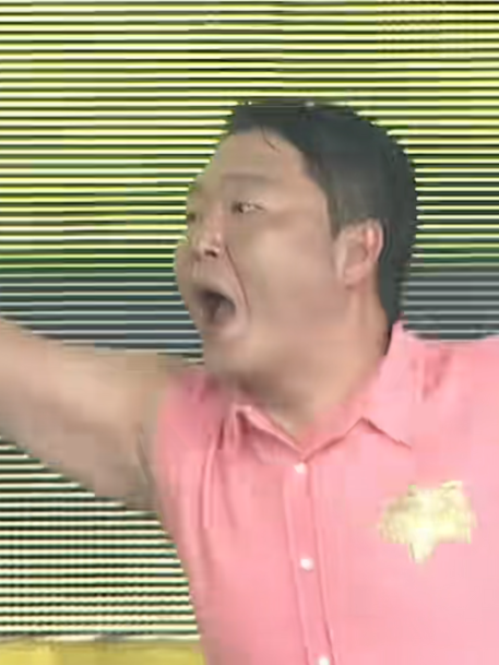 싸이흠뻑쇼-스탠딩