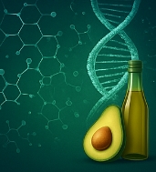 아보카도 오일 효능