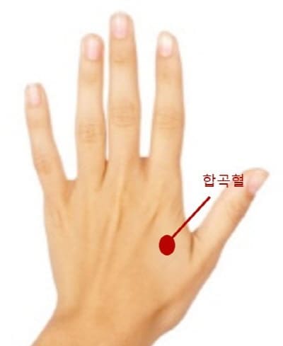 합곡혈
