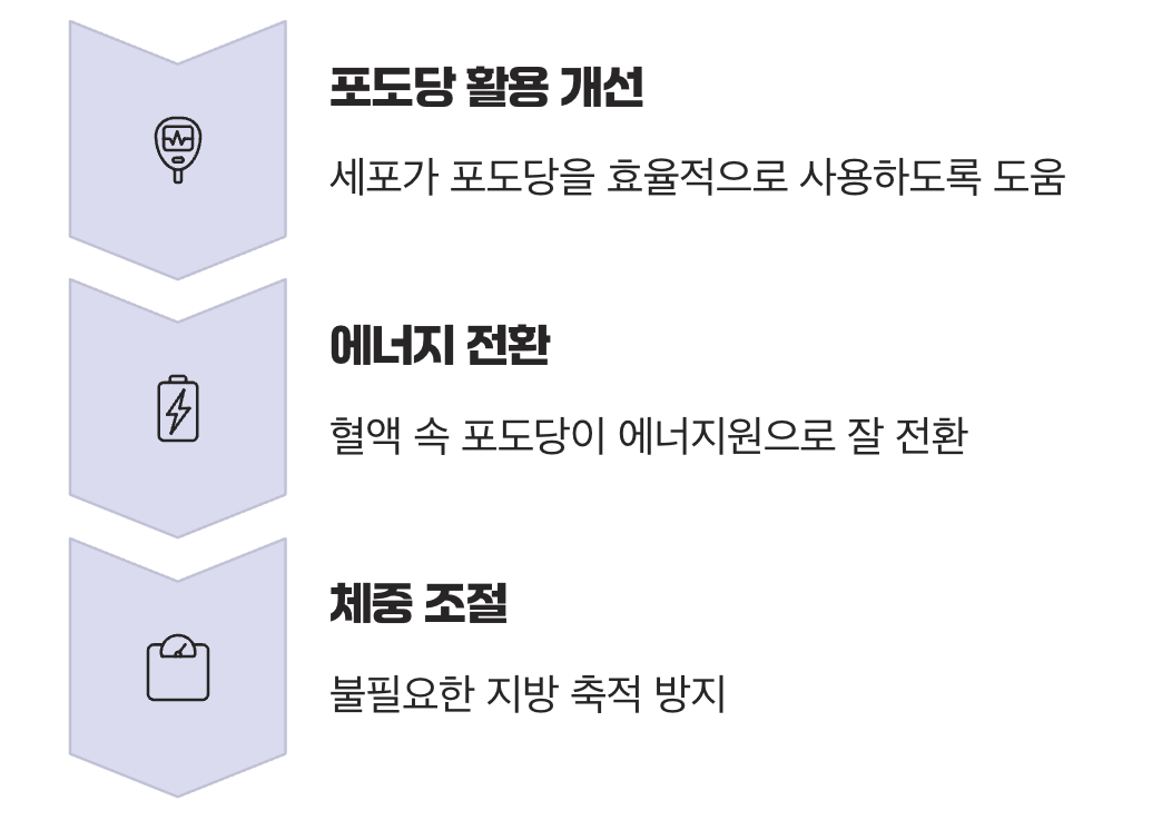 3. 단순한 수치 조절을 넘어, 체질 개선의 시작